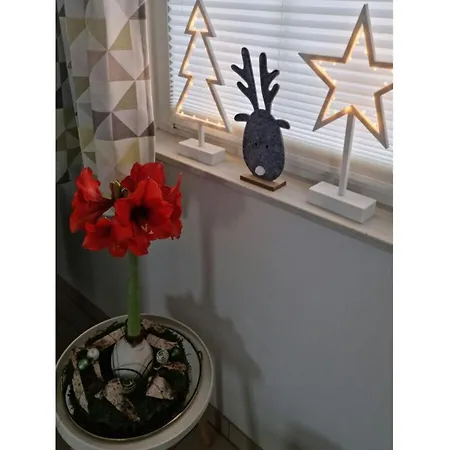 Sundtraum Apartment Parow
